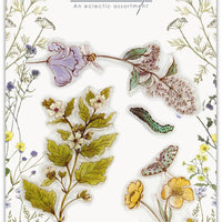Craft Consortium - Clear Stamps - Wild Flowers