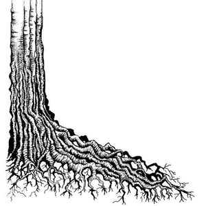 Lavinia Stamp -Tree Root